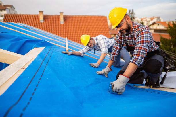 Best Residential Roofing Contractor  in Nellieburg, MS