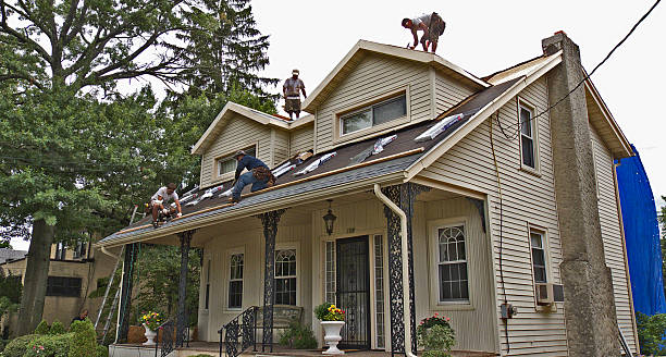 Best Roof Maintenance Services  in Nellieburg, MS