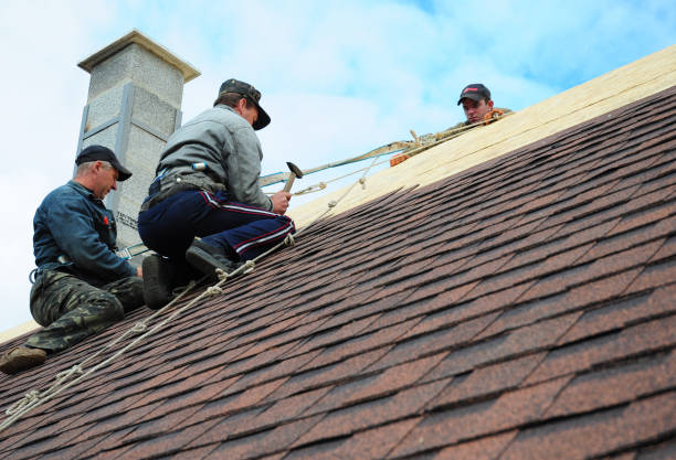 Best Roof Leak Repair  in Nellieburg, MS
