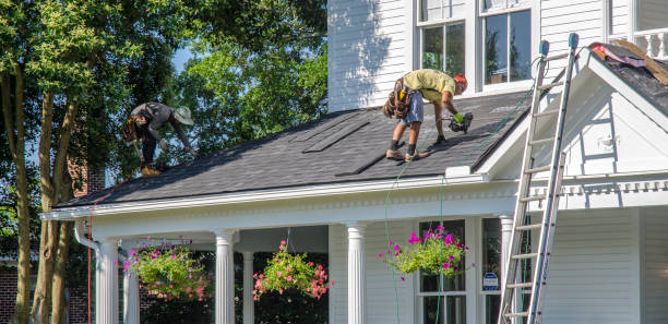 Best Roof Gutter Cleaning  in Nellieburg, MS