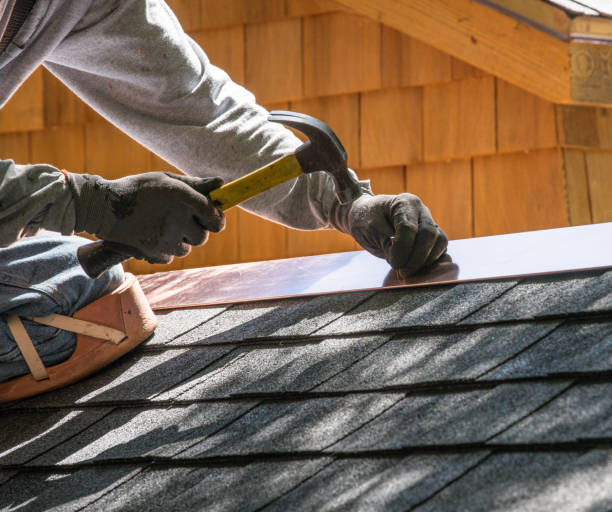 Best Gutter Installation and Roofing  in Nellieburg, MS